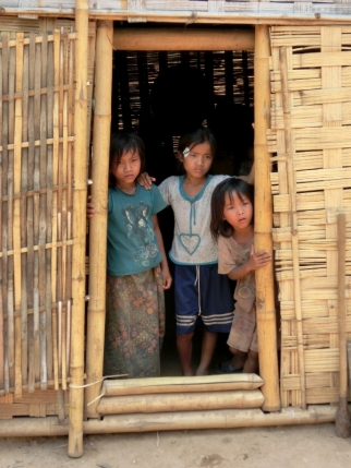 mekong (50)